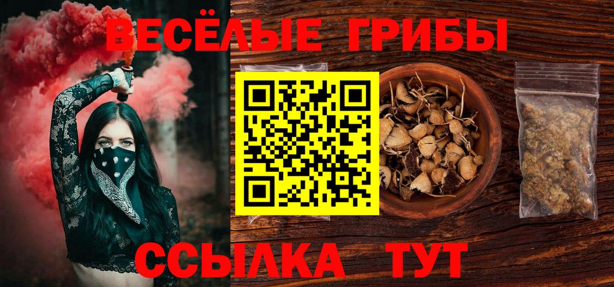 Псилоцибиновые грибы MAGIC MUSHROOMS Артёмовский